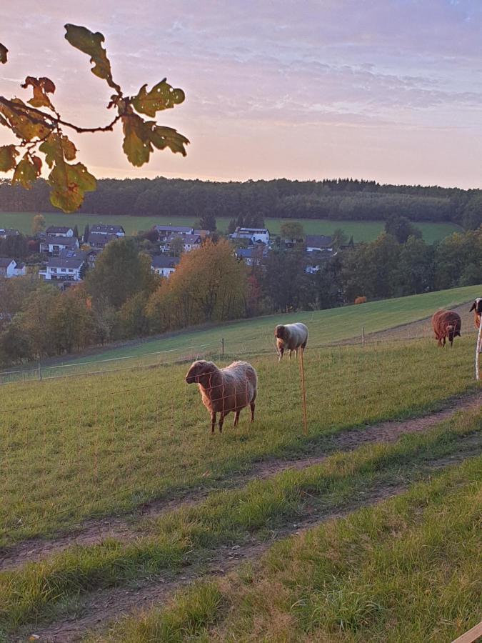 Andinas Ferienwohnung In Ruhiger Lage Direkt Am Wald Wilnsdorf Exterior foto